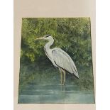 Pat Cairney, Grey Heron, watercolour, paper label verso, framed, measures 21cm x 17cm