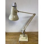 An Herbert Terry anglepoise lamp, stamped to base of stem, stepped base, measures 86cm high