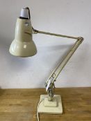 An Herbert Terry anglepoise lamp, stamped to base of stem, stepped base, measures 86cm high