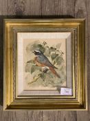 Margery Stephenson, Redstart, watercolour, paper label verso