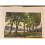 Dr Hood (?), View of Loch through trees, watercolour, inscription verso, measures 27cm x 37cm