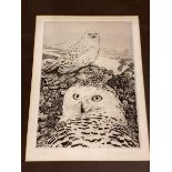 Timothy Greenwood, Snowy Owls, etching number 9/150, signed bottom right, framed, measures 32cm x