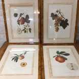 A collection of four reproduction prints, depicting fruit, including pears, grapes, peaches and