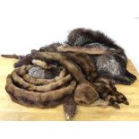 A collection of fur including collars, stoles, (a lot)