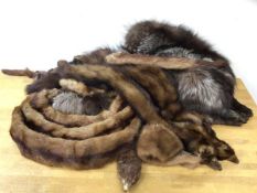 A collection of fur including collars, stoles, (a lot)