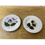 Two Wemyss small plates, both stamped T Goode & Co to base, (14cm d)