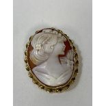 A shell cameo in gold mount (3.5cm x 2.5cm)