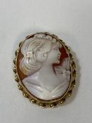 A shell cameo in gold mount (3.5cm x 2.5cm)