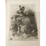 TJ Greenwood, rabbit, etching no. 26/50, signed bottom right, framed, measures (19cm x 13cm)