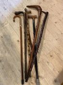 A collection of seven walking sticks of various sizes and designs,