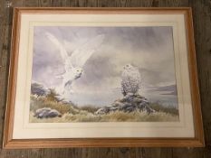 Heather M Insh, Snowy Owls, watercolour, signed bottom right, (39cm x 56cm)