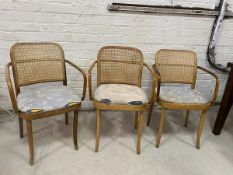 A set of three beech 1950's / 60's bentwood armchairs with cane backs,