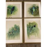 P L Dangol, set of four Nepalese birds, watercolour, signed bottom right, each (36cm x 27cm)