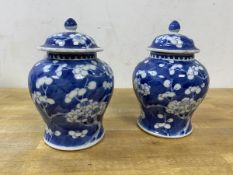 A pair of Chinese porcelain blue and white lidded baluster shaped jars with prunus decoration, chips