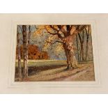 Ernest Oden, Autumn Gold, watercolour, paper label verso, (20cm x 27cm) framed
