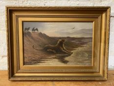 W G Hedges, Mother Lion with lion cub by river, oil, signed bottom right, (29cm x 46cm)