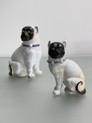 Two Continental porcelain models of seated pugs, c. 1900, each modelled with blue collar. (2) 18cm