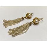 A pair of pearl and seed pearl drop earrings, each with a small baroque pearl set in a yellow