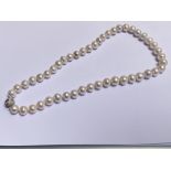 A single graduated strand of cultured pearls, of bouton shape, on a magnetic clasp set with CZs.