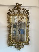 A Rococo Revival carved giltwood and gesso framed wall mirror, 19th century, the frame with ho-ho