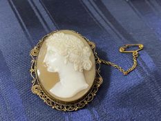 A shell cameo brooch in gilt metal mount, (5cm x 3.5cm)