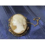 A shell cameo brooch in gilt metal mount, (5cm x 3.5cm)