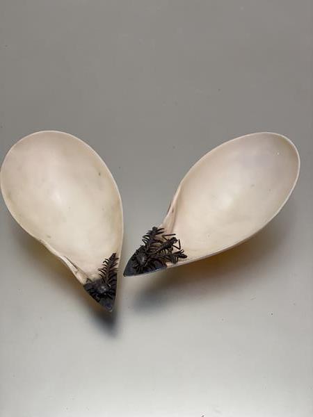 A pair of shell white metal mounted serving dishes with crayfish, crabs and seaweed in white