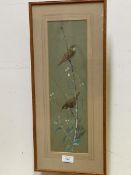 Donald Watson, Sedge Warblers, watercolour on coloured paper, signed bottom and dated 1959,