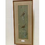 Donald Watson, Sedge Warblers, watercolour on coloured paper, signed bottom and dated 1959,