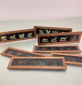 A set of seven Edwardian oak framed glazed animal and bird lantern slides, each with bird or