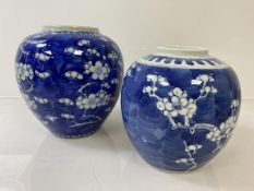 A Chinese ginger jar, lacking lid, with prunis decoration, four blue character marks to base (h