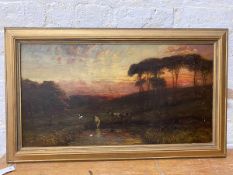 James Campbell Noble, cows in field at sunset, oil, signed bottom right, (40cm x 75cm)