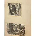 W Patterson, Nuthatch, and another of birds, woodcuts, signed, (larger 15cm x 19cm), inscriptions