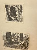 W Patterson, Nuthatch, and another of birds, woodcuts, signed, (larger 15cm x 19cm), inscriptions