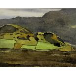 Christopher Carter (Contemporary), "Cumbrian Fields", signed lower right and dated (20)00,