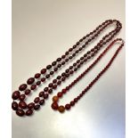 A dark amber graduated 1900/1920's bead necklaces, (L 38cm and 42cm) and a dark honey coloured bead