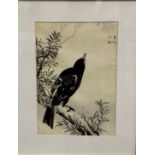 Kono Bairei, (1844-1895), print on coloured paper of a blackbird on a branch, highlights of