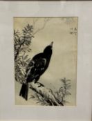 Kono Bairei, (1844-1895), print on coloured paper of a blackbird on a branch, highlights of