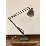 Herbert Terry, A mid century Vintage Angle poise lamp, stamped by maker