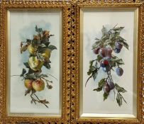 E N B, 19thc paintings on milk glass panels of Damsons and Apples, signed with initials and dated