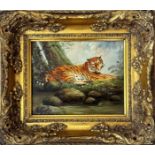 Unknown artist, Tiger, oil on panel, unsigned, gilt composition frame, (19cm x 24cm)