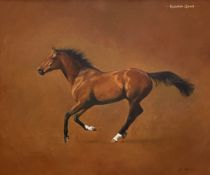 •Jacqueline Stanhope (British, b. 1963), "Rainbow Quest", study of a racehorse, signed lower