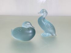 Lalique: two frosted blue glass models of ducks, one resting, the other standing, each with