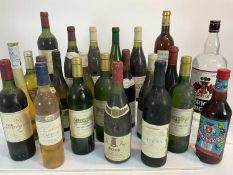 Twenty three bottles, various red and white wines