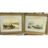 Pair of 19th century Indian School watercolours ,25cm x 18cm in glazed frames
