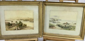 Pair of 19th century Indian School watercolours ,25cm x 18cm in glazed frames