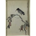 Two Chinese watercolours - birds, 45cm x 90cm and 44cm x 67cm in glazed frames.