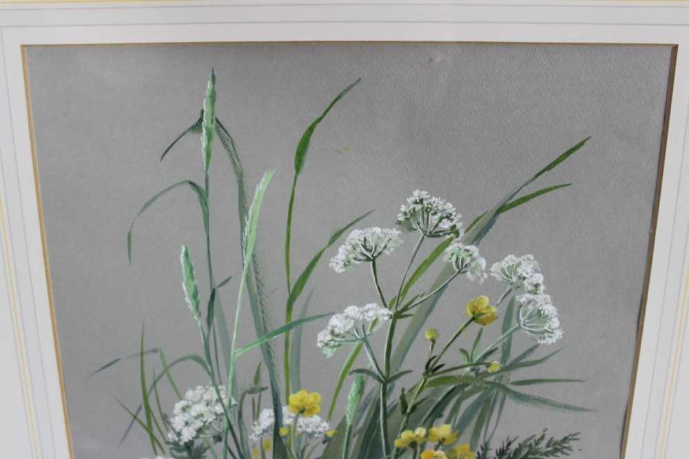 1970s English School watercolour and gouache - Wild Flowers, signed and dated '77, 47cm x 34cm, in g - Image 6 of 7