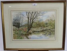 Ben Perkins, contemporary, watercolour - wildfowl on a river, signed an dated '90, 26cm x 39cm, in g