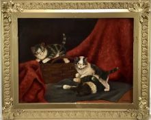 Gaborg Kittinger, oil on panel - Kittens at play, signed, 30 x 40cm, in gilt frame